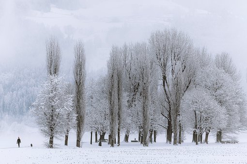 雾凇岛长白山天池牡丹江雪乡亚布力单飞7日游