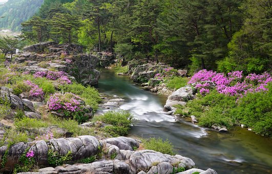 麻城龟峰山一日游 人间四月天麻城看杜鹃