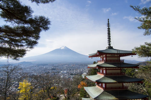 本州北海道-日本薰衣草自由行双飞七日游 武汉到日本旅游