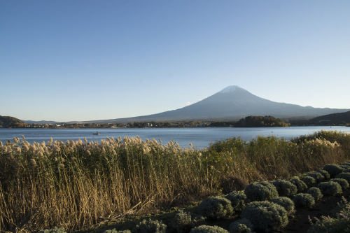 日本大阪京都富士山东京双飞6日游阪进东出