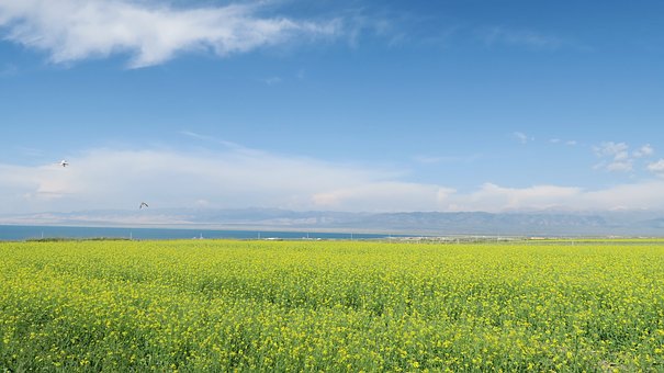 吐鲁番天山天池敦煌嘉峪关双飞6日游